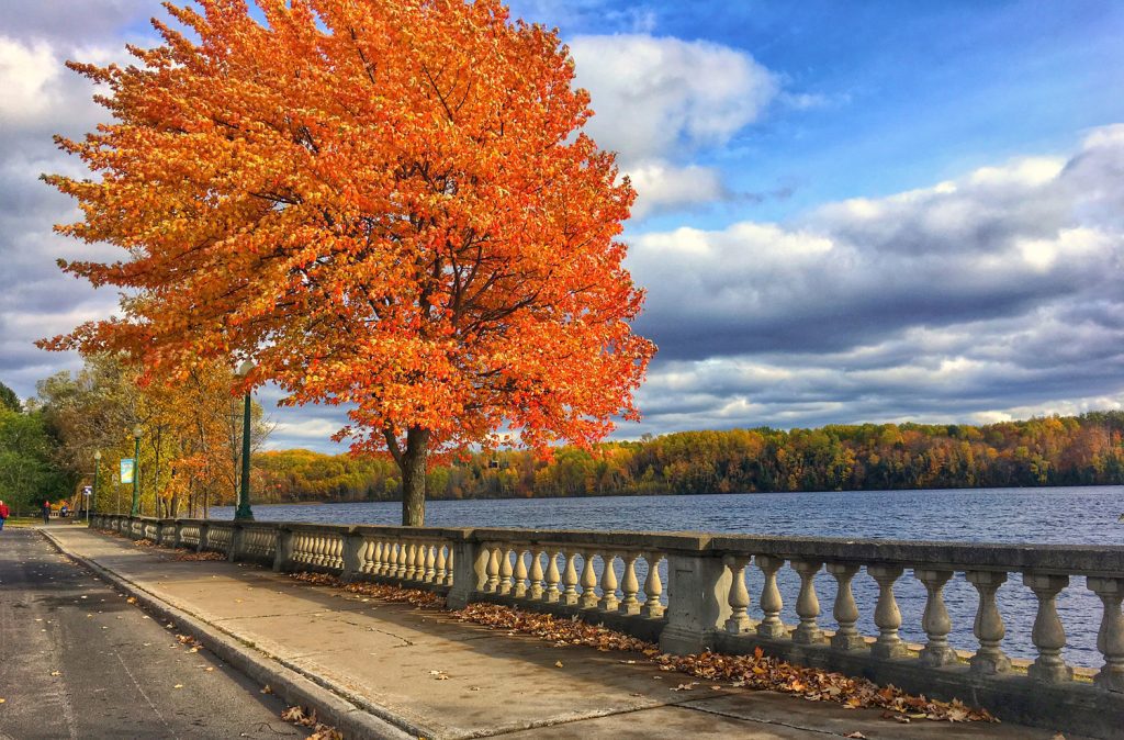 promenade saint-maurice automne - Midorie